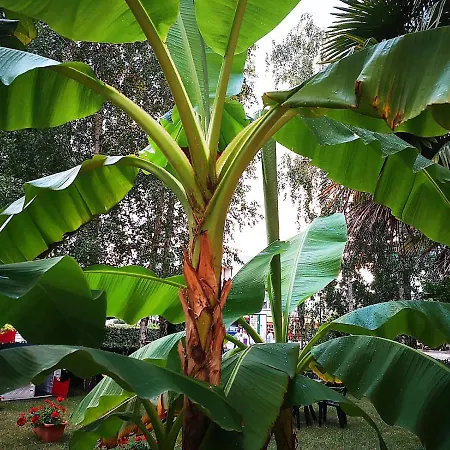 Hotel Aurora Eraclea Mare