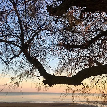 Aurora 에라클레아 마레