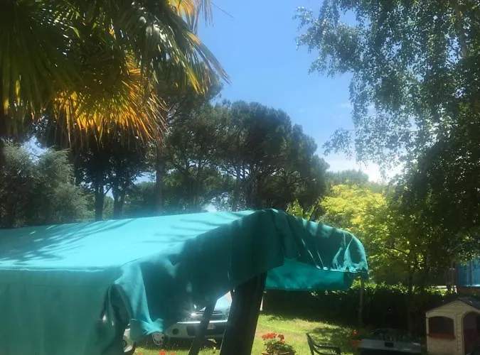 Aurora ايراكليا ماري