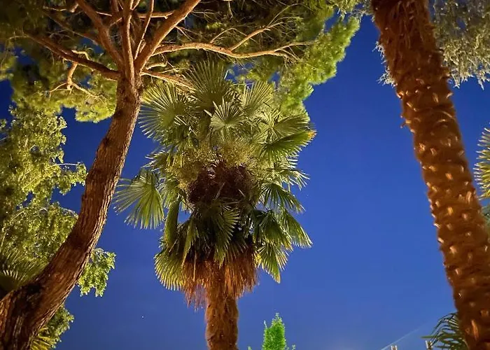 Aurora ايراكليا ماري