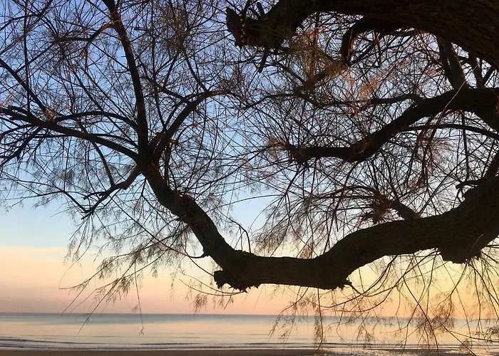 Aurora ايراكليا ماري