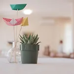 Hotel Aurora 3*