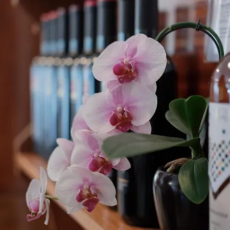 Hotel Aurora Eraclea Mare