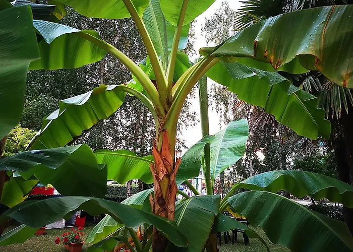 Отель Aurora Эраклея-Маре