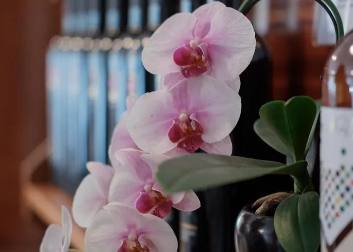 Hotel Aurora Eraclea Mare